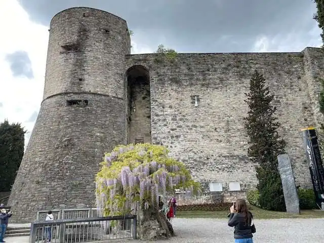 Rocca