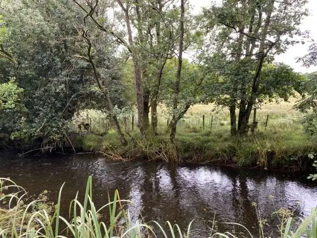 River in Killarney National Park