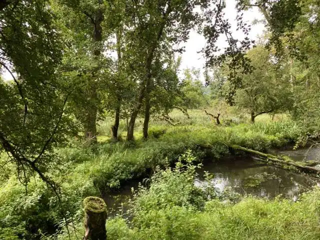 Inside Killarney National Park, on the Ring of Kerry