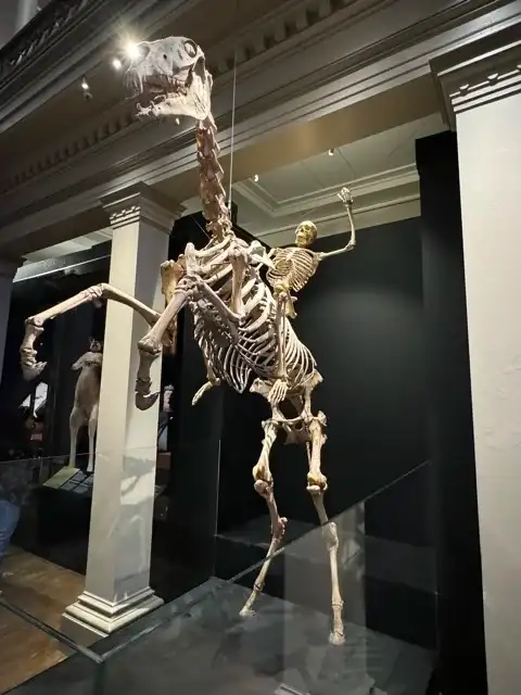 Sir Hercules and a Rider, aka the Bone Ranger