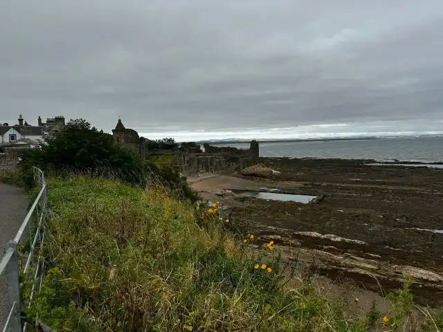 A portion of the St. Andrews coast as seen from close to the cathedral, with the fort in the background
