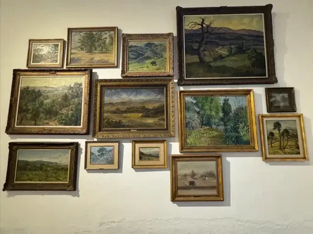 Art in the Museo Municipal de Bellas Artes Dr Genaro Pérez