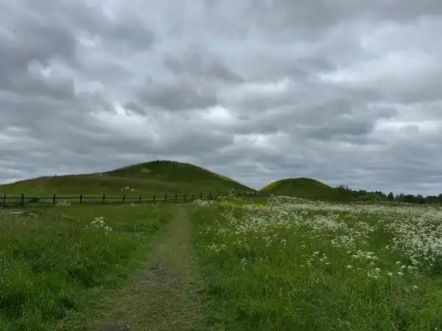 Two (or maybe three) of the Gamla Uppsala burial mounds.