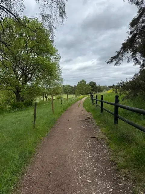 One of the trails around the mounds.