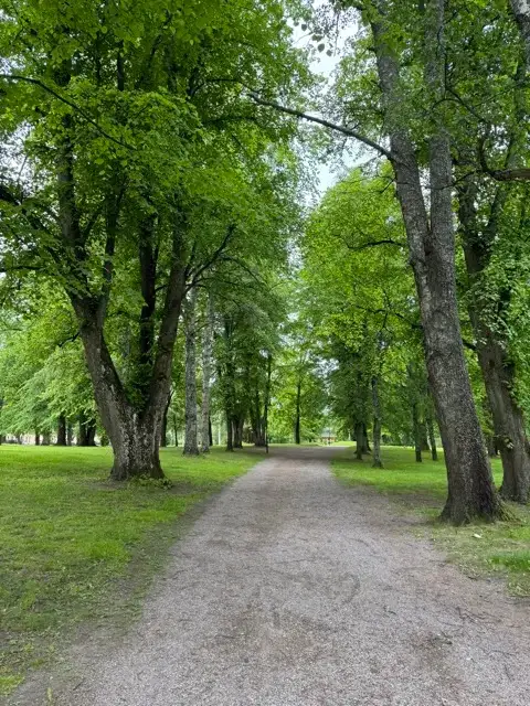 A path through the forest in Boulognerskogen