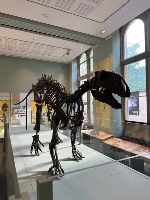 April the Tenontosaurus