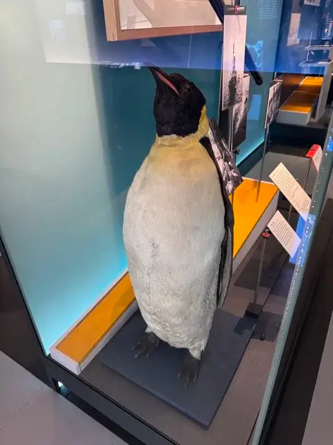 Percy at the National Maritime Museum
