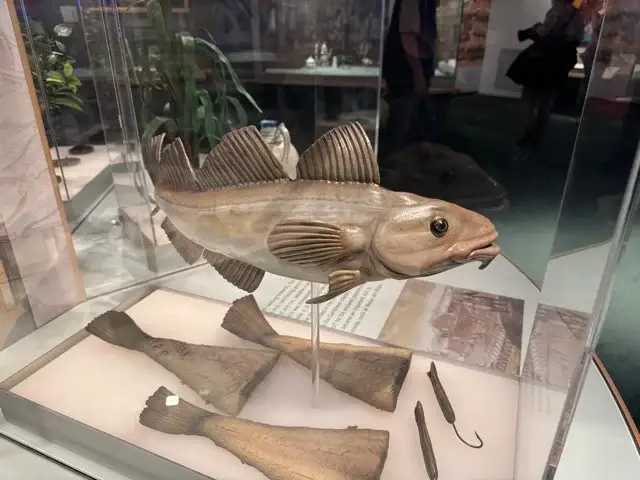 Fishing is a maritime commercial activity. Who knew?