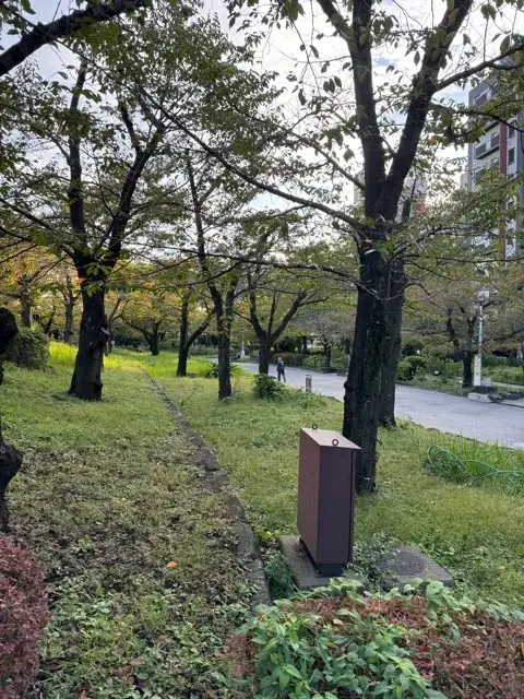 Sumida Park (west side)