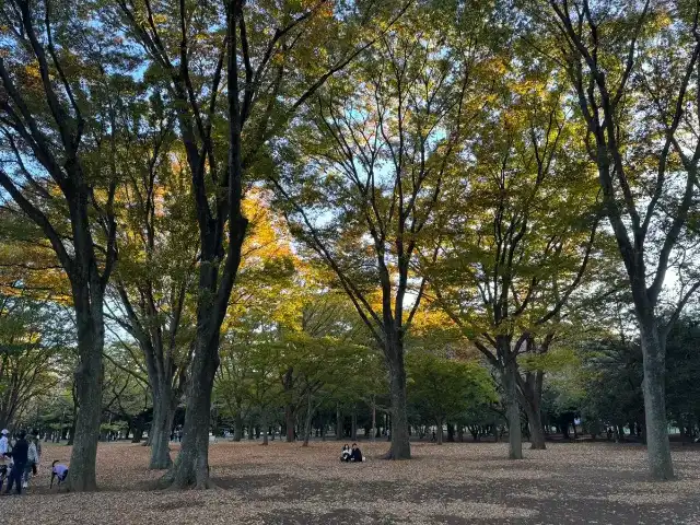 Sumida Park