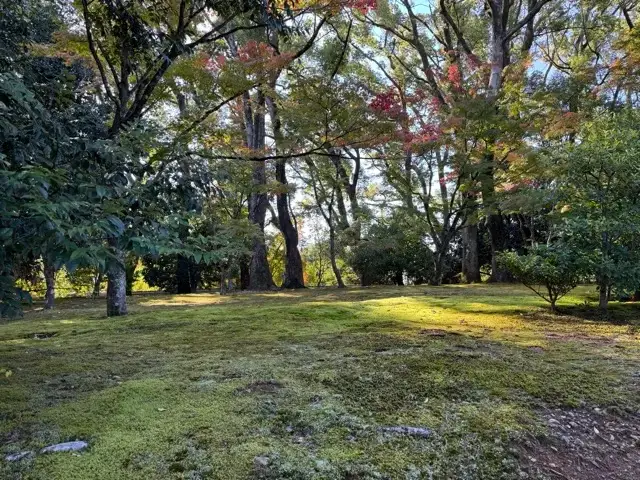 The grounds of Kinkaku-ji Temple, near the entrance