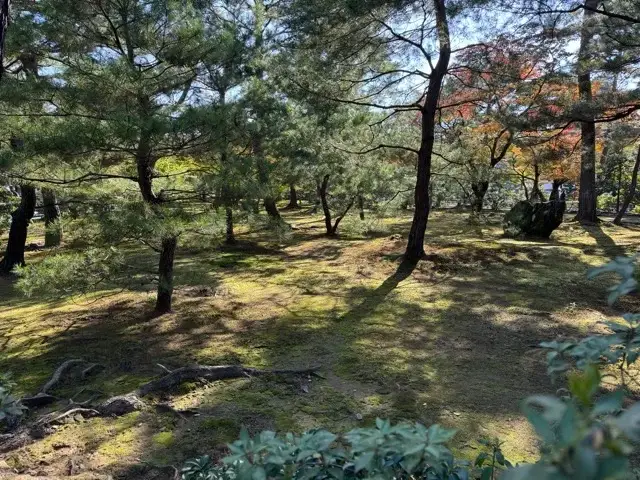 Some of the grounds at Kinkaku-ji Temple