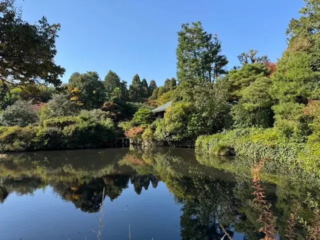 Clear portion of the pond at Ryoan-ji Temple