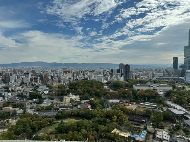 View from atop Tsutenkaku Tower
