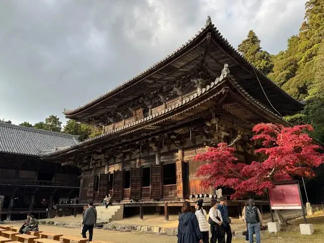 Daikodo