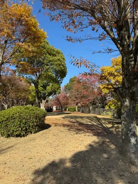 The garden by the Long Bailey