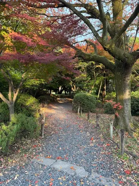 Ninomaru Garden at Nagoya Castle
