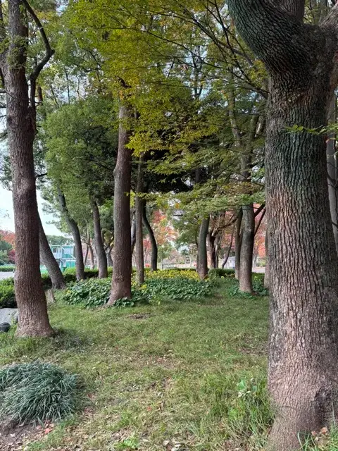 Meijo Koen Park