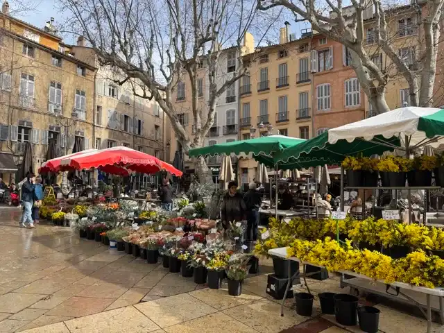 Flower market in Aix Place de l'Hôtel de Ville