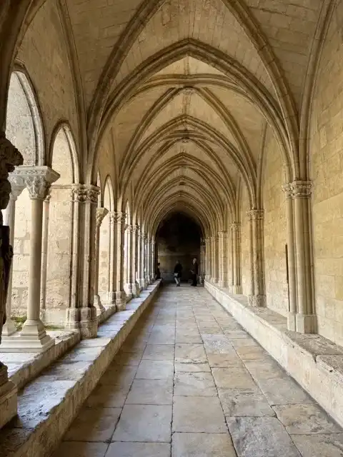 Ribbed ceiling on one side of the cloister