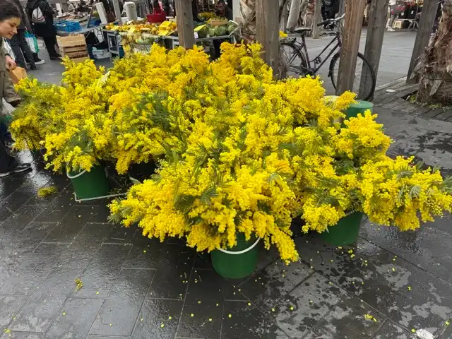 Cut flowers at the market