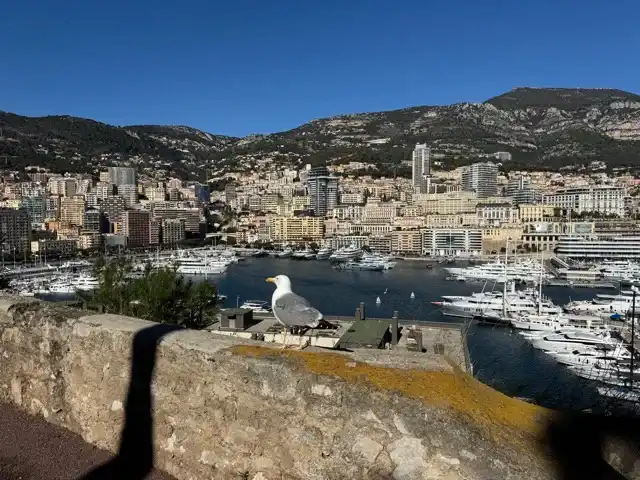 Another view I saw on my way to my first destination of the afternoon. Posted here so you'd have something else pretty to look at while I kvetched