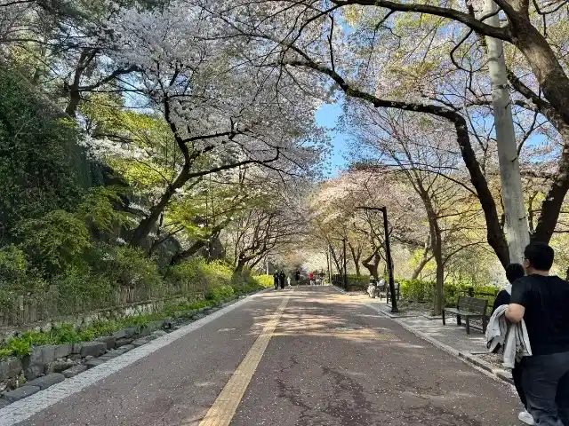 The pedestrian road up Namsan