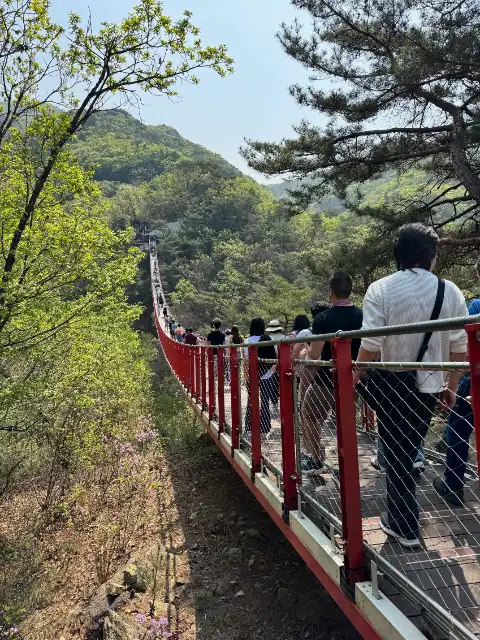 Gamaksan Suspension Bridge (first stop on the DMZ tour)