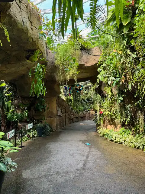 Inside the Conservatory in Seoul Botanic Park