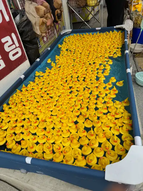 Rubber duckies in Jeonju Hanok Village