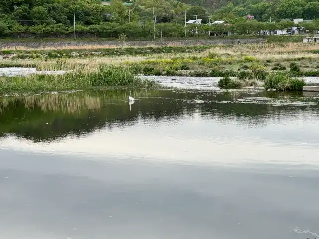 Hyeongsan River in Gyeongju