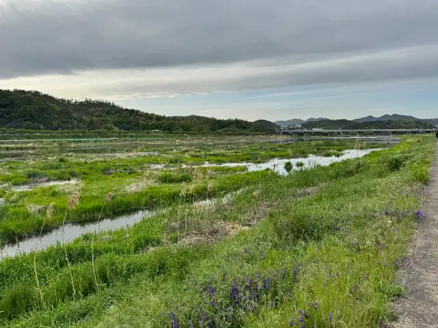 Hyeongsan River in Gyeongju