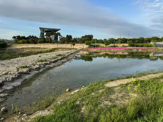 Dam blocking the tributary
