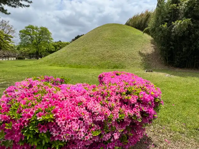 Flowers in front of a mound in the second park of the Daereungwon complex