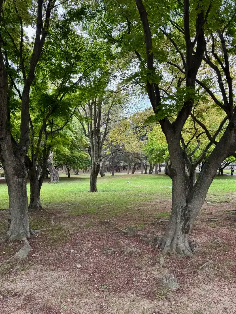 Part of the small forest in the second park of the Daereungwon complex