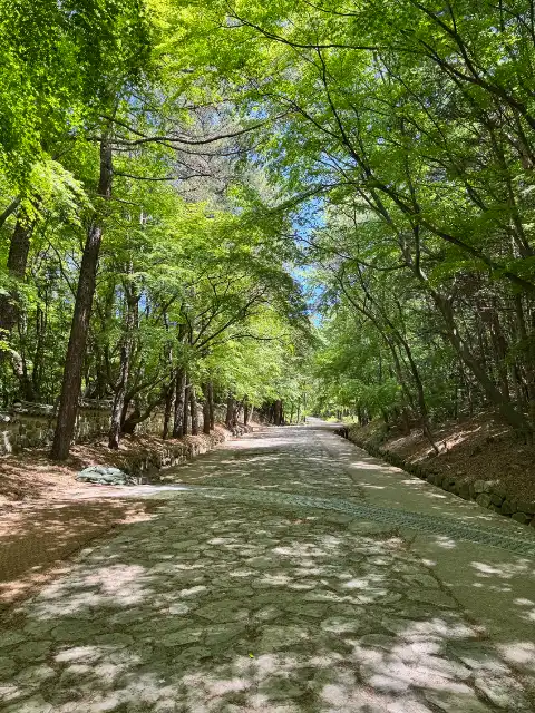Near the start of the way to Seokguran