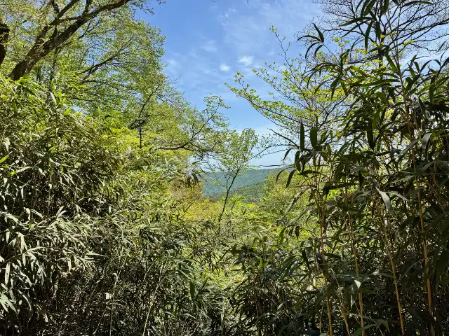 A view from near the summit of Mt. Tohamsan