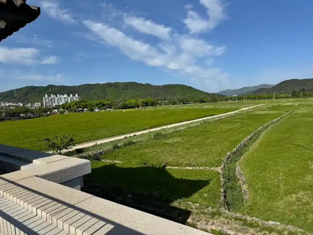 Some of the Hwangnyongsa site