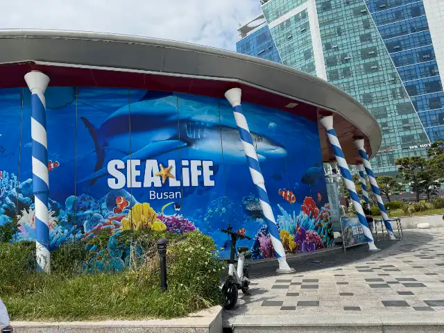 Sea Life Busan at ground level