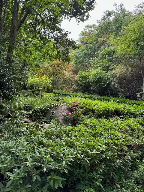 Geumgang Park
