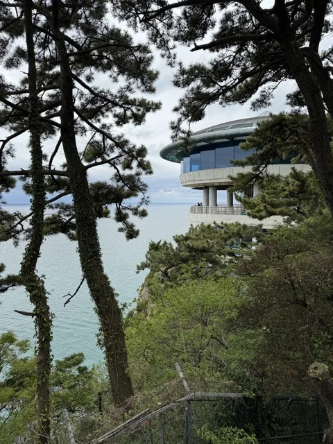 The closed observatory/café as seen through trees