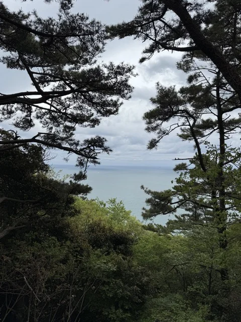 Still in Taejongdae Park