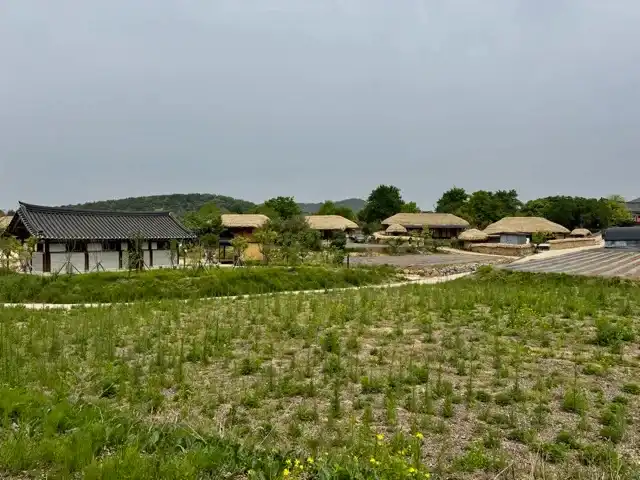 Andong Hahoe Folk Village homes seen from across a field