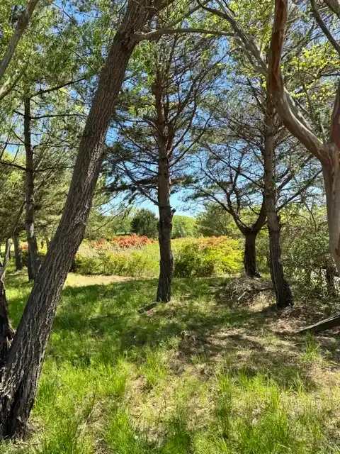 Part of the larger land-based part of Gyeongpo Park