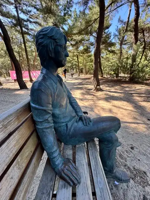 My benchmate in the beachside pine forest