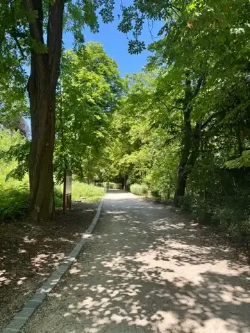 Avenue of Wild Chestnut Trees