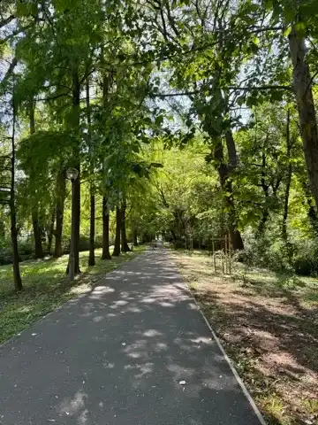 Part of the walk from the boat to Balaton Museum