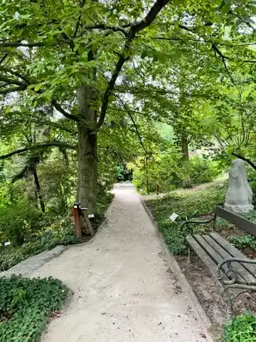 A path through the arboretum at the Pintér Botanical Garden