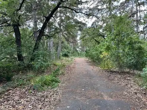 On the walk back into town