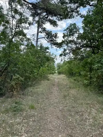 On the walk back into town